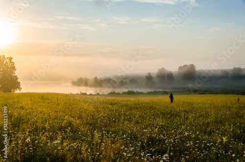 morning fog over the lake. Sunlight through the forest