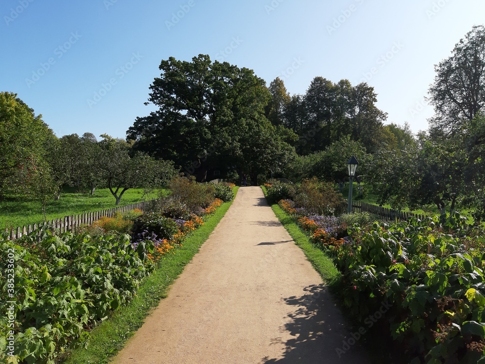 path in the park