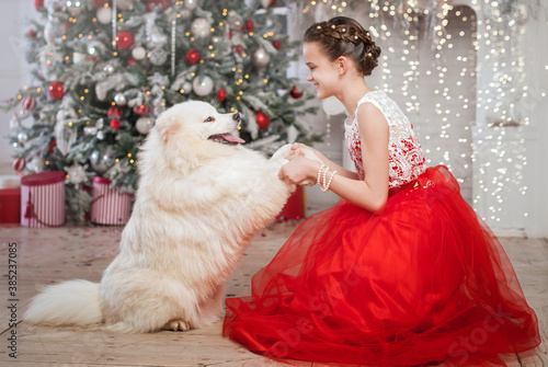 Canvas Print A girl in a smart dress holds a large white shaggy dog by the paws against the b