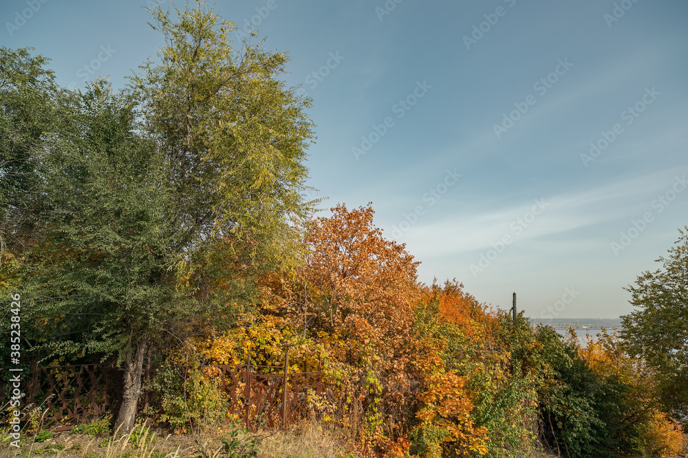 Autumn background. Trees with yellow, red and green leaves. Autumn background. Trees with yellow, red and green leaves.