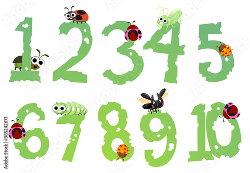 Bugs Leaves Numbers Illustration