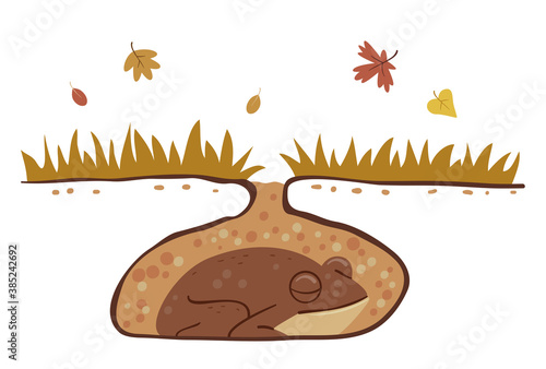 Frog Hibernation Autumn Illustration