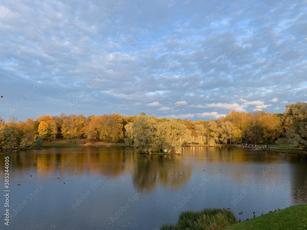 Golden trees on the lake, autumn background Golden trees on the lake, autumn background