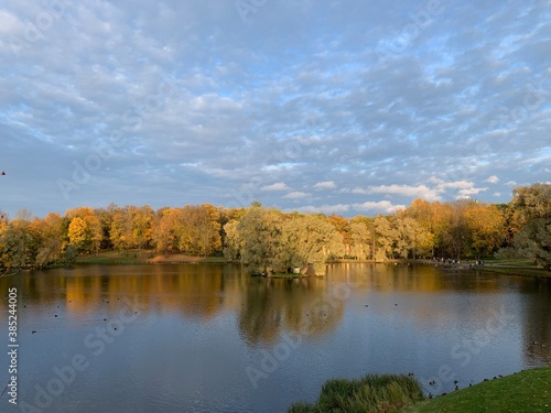 Fototapeta Naklejka Na Ścianę i Meble -  Golden trees on the lake, autumn background