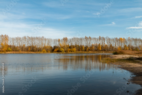 autumn landscape with lake and yellow trees, suburban life
