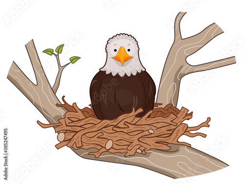 Bald Eagle Stick Nest Tree Illustration