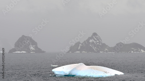 Iceberg in Signy Island, Antarcica  photo