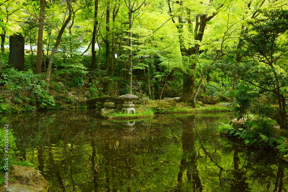 庭園 庭園