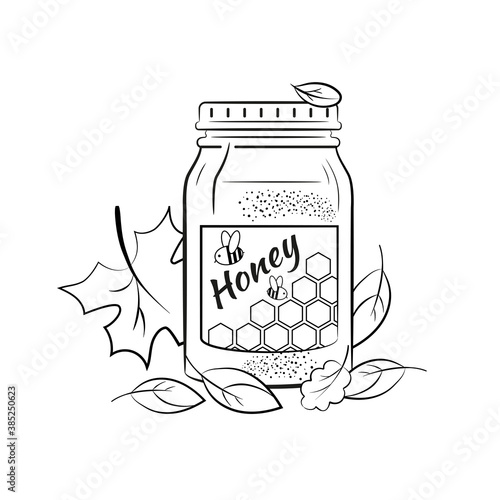 Glass jar with honey surrounded by autumn leaves. Contour image coloring. Vector isolated on a white background. 