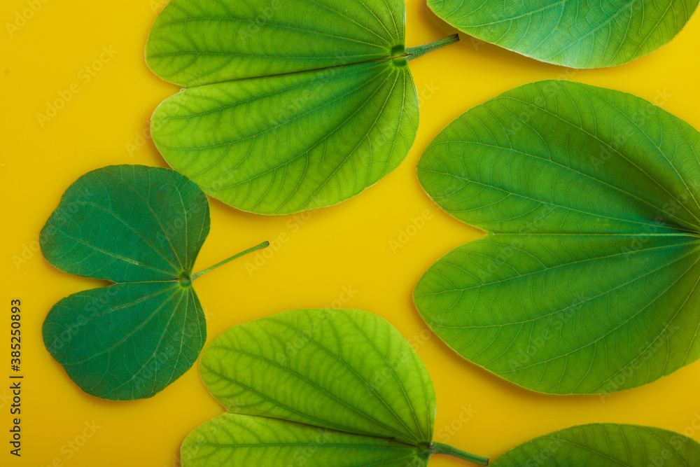 Obraz premium Indian Festival Dussehra , green leaf and rice