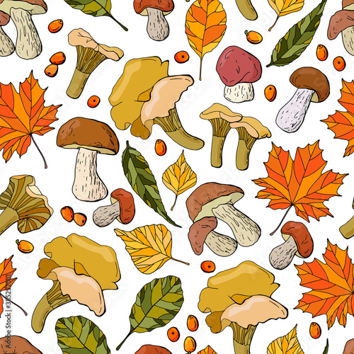 Autumn pattern. Colored foliage, Porcini mushrooms, sea buckthorn, chanterelle mushrooms. White background, isolate. Design for wallpaper, packaging, fabric, textile.