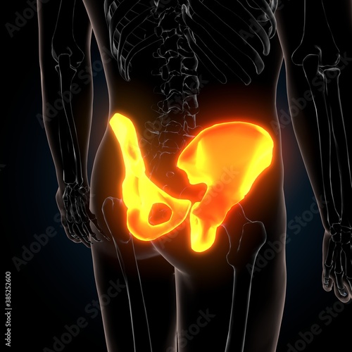 3d illustration of human skeleton hip or pelvic bone anatomy © PIC4U