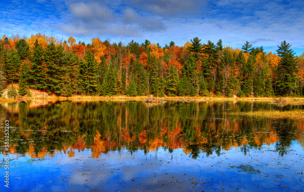 autumn trees reflected in the water autumn trees reflected in the water