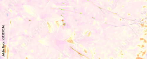 Orange Botany Backdrop. Bright Leaf Texture. Pink Silk Backdrop. Blue Artistic Texture. White Sunrise Image. Pastel Beauty Presentation. Bright Abstract Postcard.