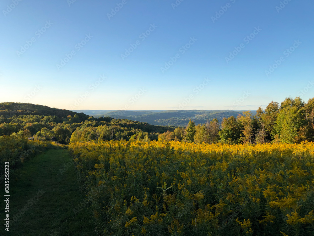 View on yellow field and hills at the  Delaware-Otsego Audubon Society Sanctuary. Upstate New York park and hiking trail