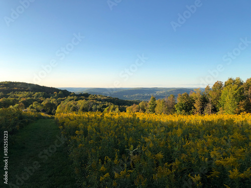 View on yellow field and hills at the Delaware-Otsego Audubon Society Sanctuary. Upstate New York park and hiking trail