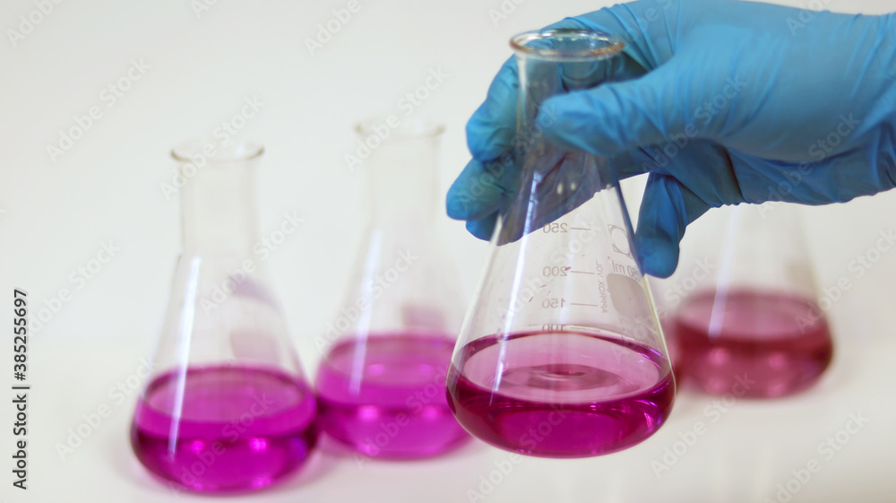 The scientist wear blue nitrile gloves holding Erlenmeyer Conical flask
