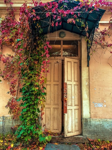 Vintage entrance door in the 