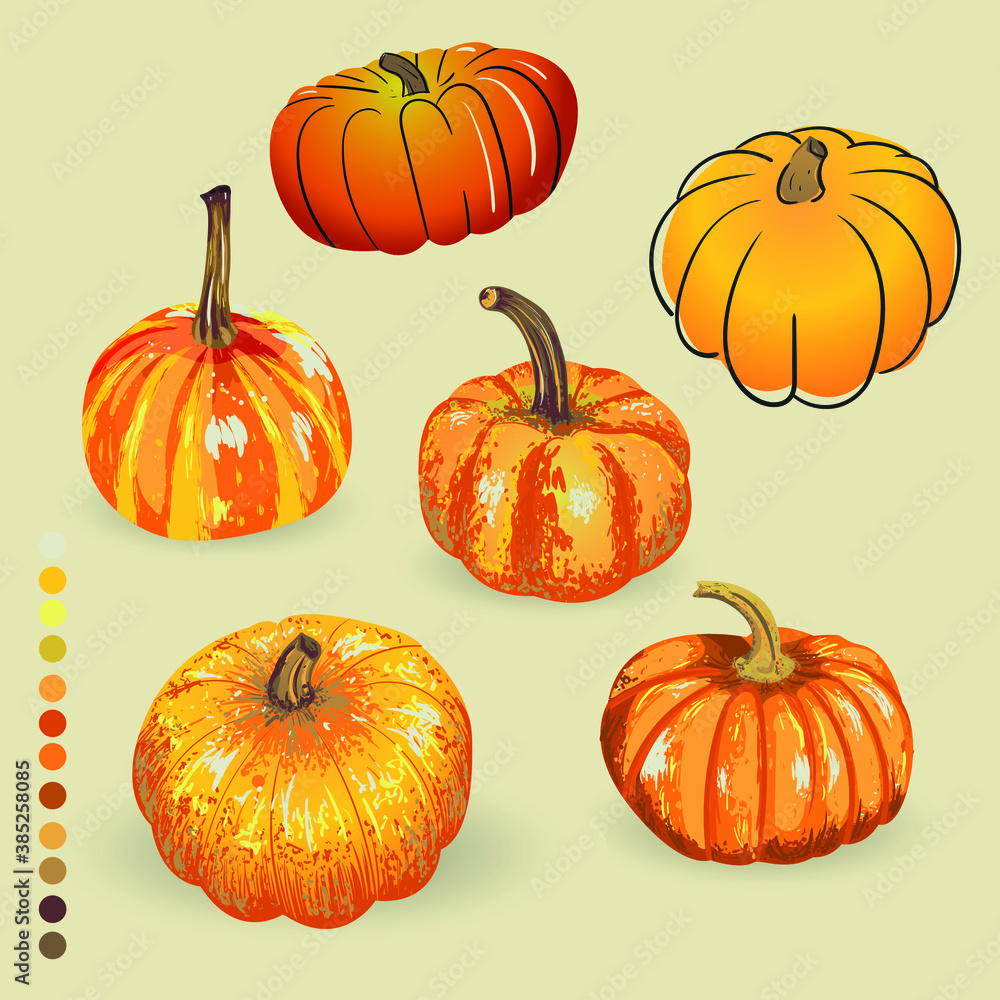 vector set isolated pumpkin. illustration of pumpkin for an autumn design. Halloween holiday. vector set isolated pumpkin. illustration of pumpkin for an autumn design. Halloween holiday.