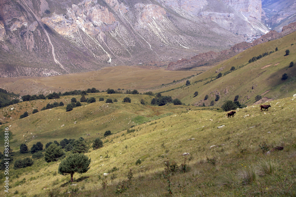 Alpine landscape with green valleys. Caucasus, Russia.