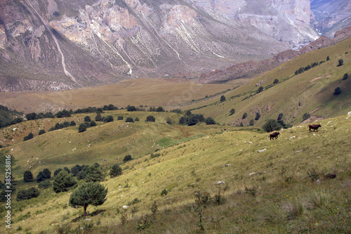 Alpine landscape with green valleys. Caucasus, Russia.