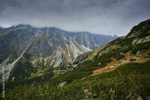 View on wild nature in amazing high Tatras  Slovakia  Europe