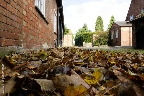 old buildings in autumn with leaves on the ground