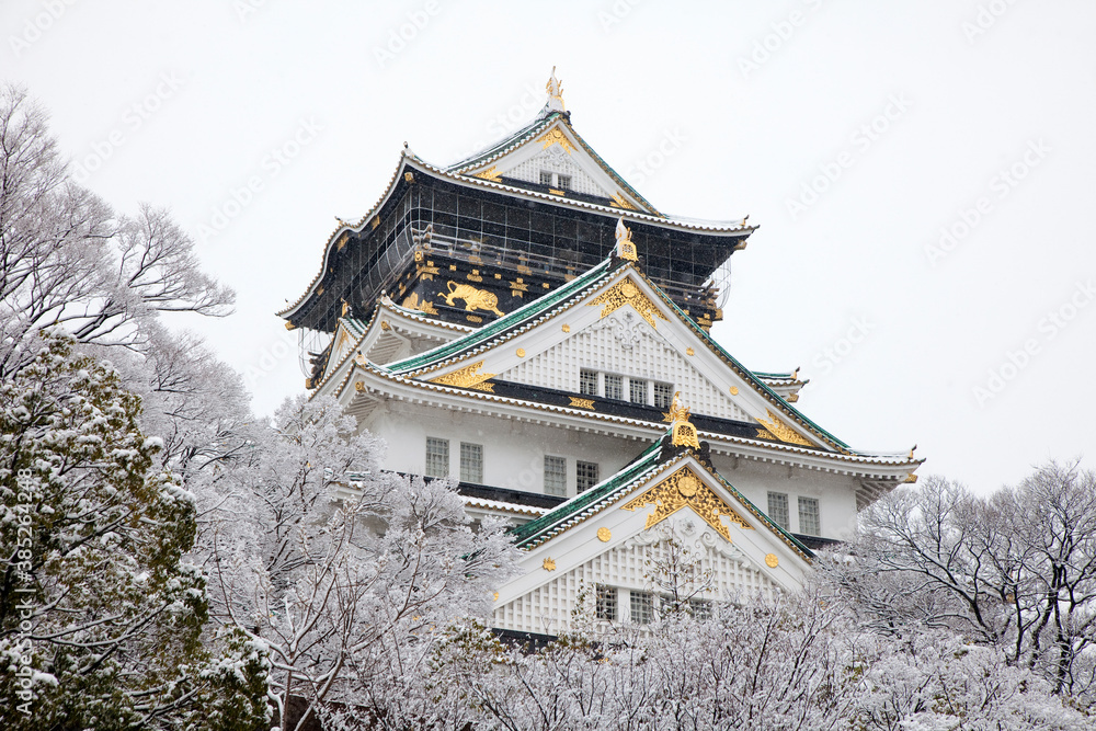 大阪城と雪