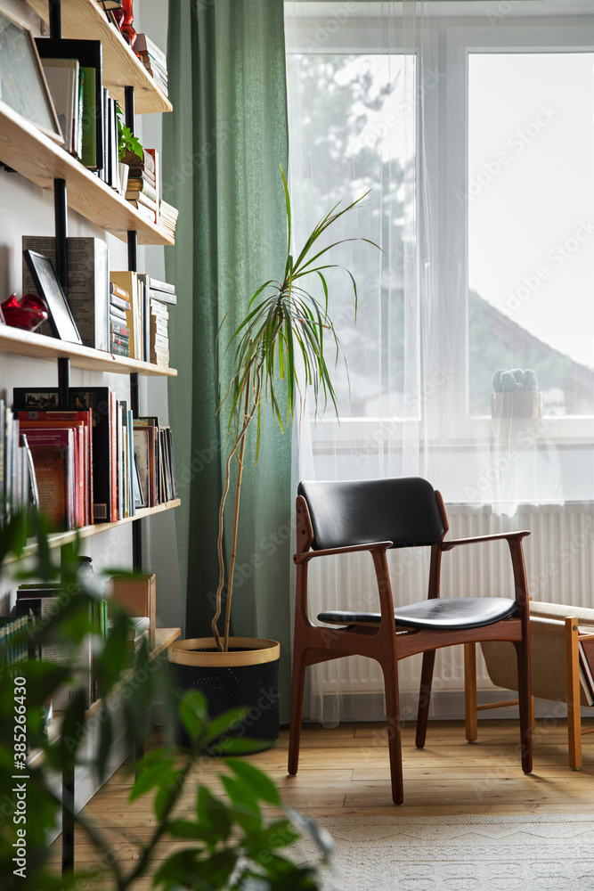 Stylish composition of home office interior with design retro chair, home library, plant, window, books, decoration and elegant personal accessories in home decor.