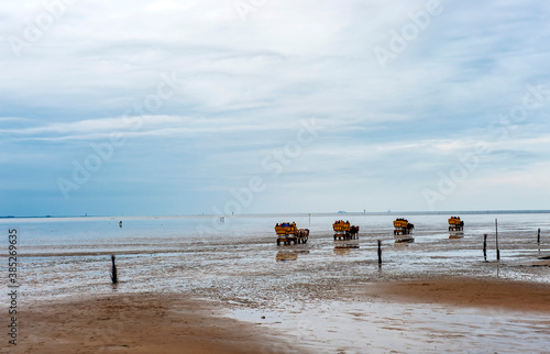 Pferdekutschen mit Touristen fahren ins Wattenmeer bei Cuxhaven-Sahlenburg,Niedersachsen, links hinten Insel Neuwerk, Deutschland