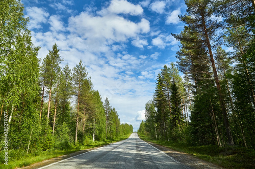 Beautiful landscape with blue sky, white clouds and the road that goes to the horizon with the forest and trees on the roadsides © keleny