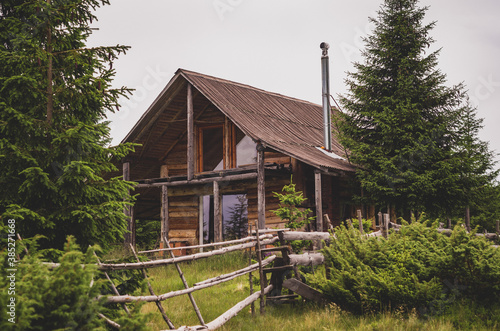 Forest cabin