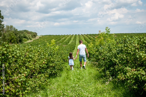 family walks in the currant garden © Galka3250