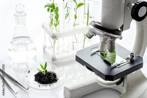 Scientific research plants and soil in microbiology laboratory with microscope.