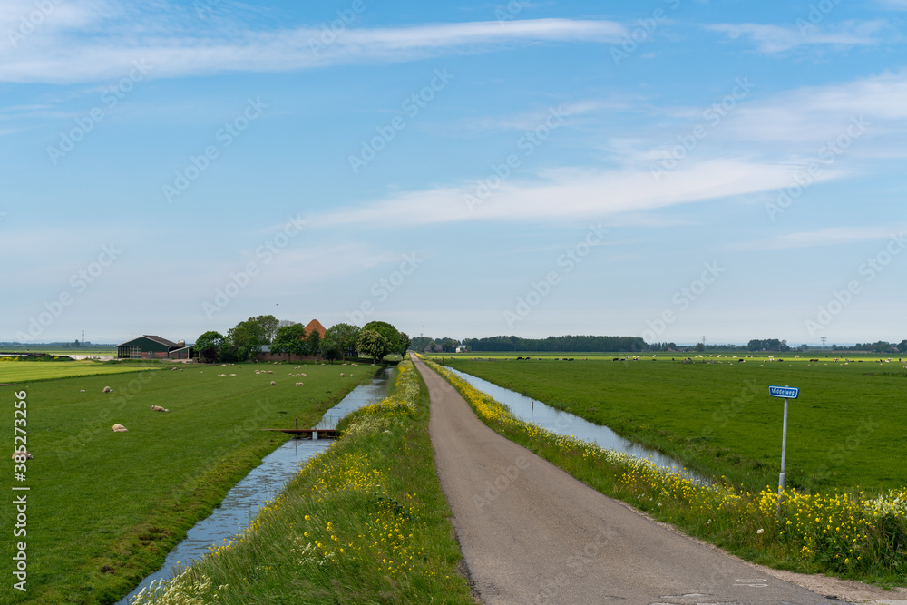 Dutch landscape