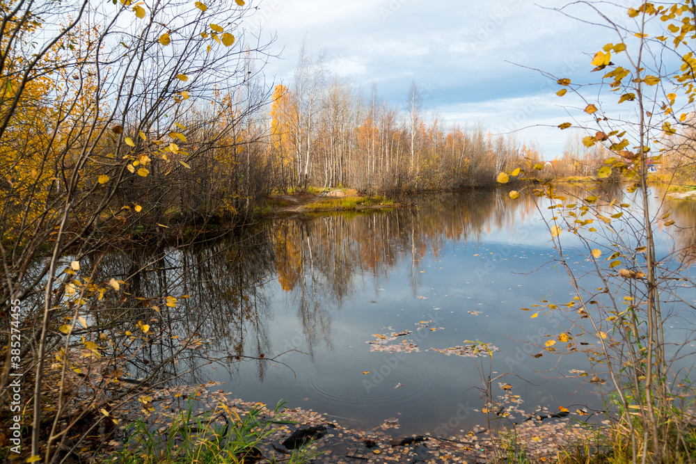 Fototapeta premium September landscape near the forest lake in the autumn day