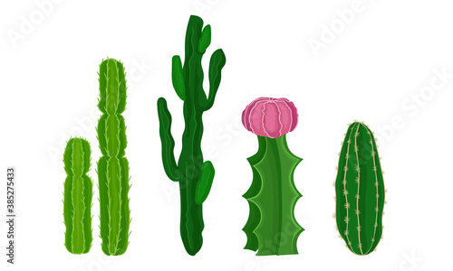 Cactus as Spiny Plant Living in Dry Environments Vector Set
