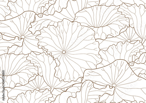 Lotus leaf pattern. monotone with drawing line art. Tropical Leaves background.