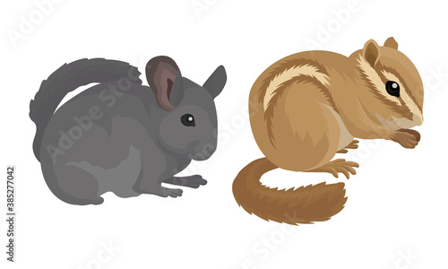 Rodents with Robust Bodies and Short Limbs Vector Set