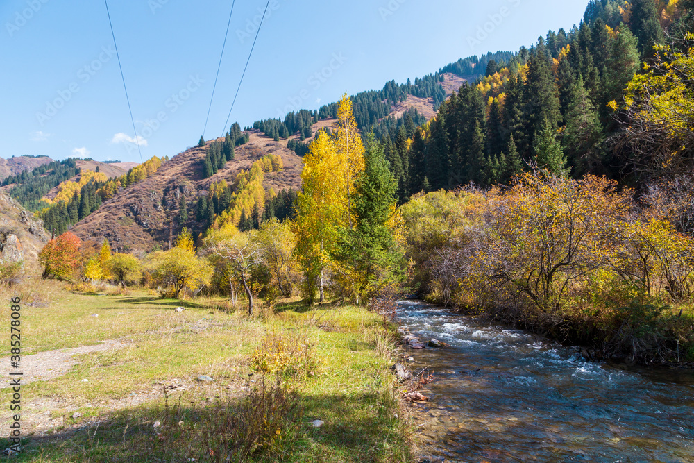 Autumn mountain landscape. Beautiful birch and spruce trees. Mountain river. Kyrgyzstan. Autumn mountain landscape. Beautiful birch and spruce trees. Mountain river. Kyrgyzstan.