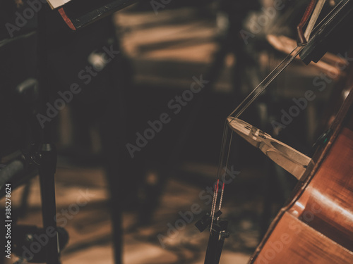 Double bass section in a classical orchestra. Side view on musicians and their instruments. Close-up of an instrument. Detail. 