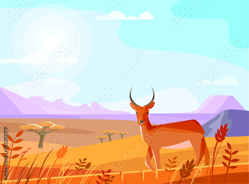 landscape with antelope and desert