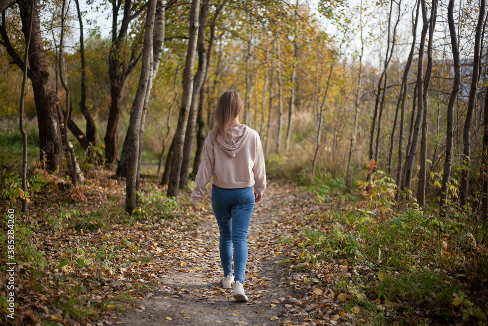 The girl walks in the autumn through the forest. A girl in blue jeans and a pink sweater walks on a warm autumn day. 
