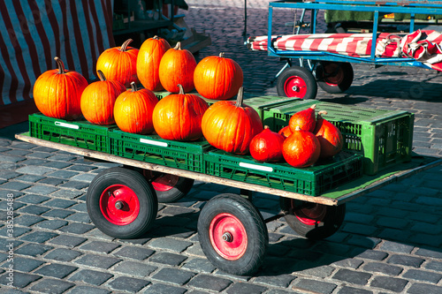 Pile of pumpkins in carriage at the market place photo