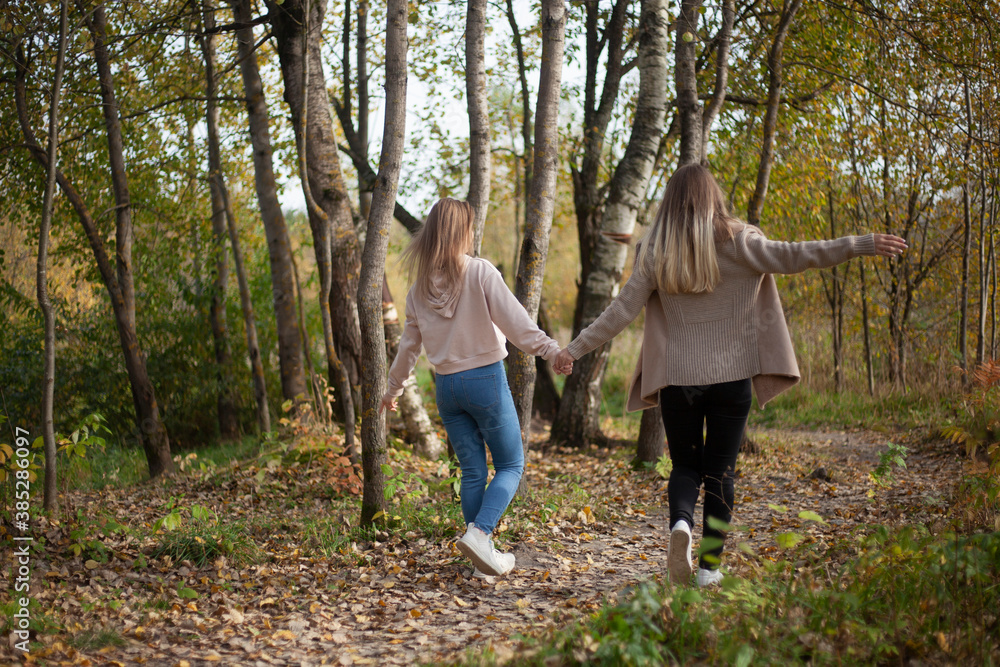 The girls hold hands and walk through the forest. Girlfriends on a walk in the park in autumn.