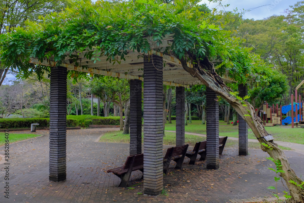 Obraz premium 金沢自然公園