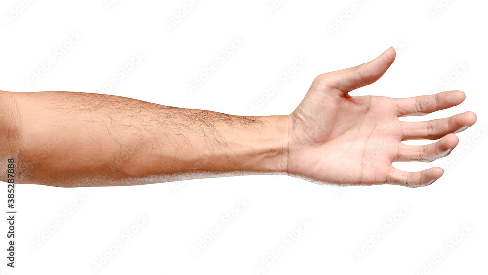 Male caucasian hand reach and ready to help or receive. Gesture isolated on white background. Male caucasian hand reach and ready to help or receive. Gesture isolated on white background.