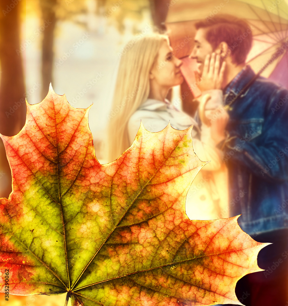 Romantic Couple Under The Heart Leaves Tree And Love Quote With Bicycle