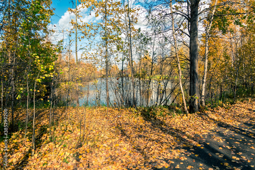 Fototapeta premium September landscape near the forest lake in the autumn day