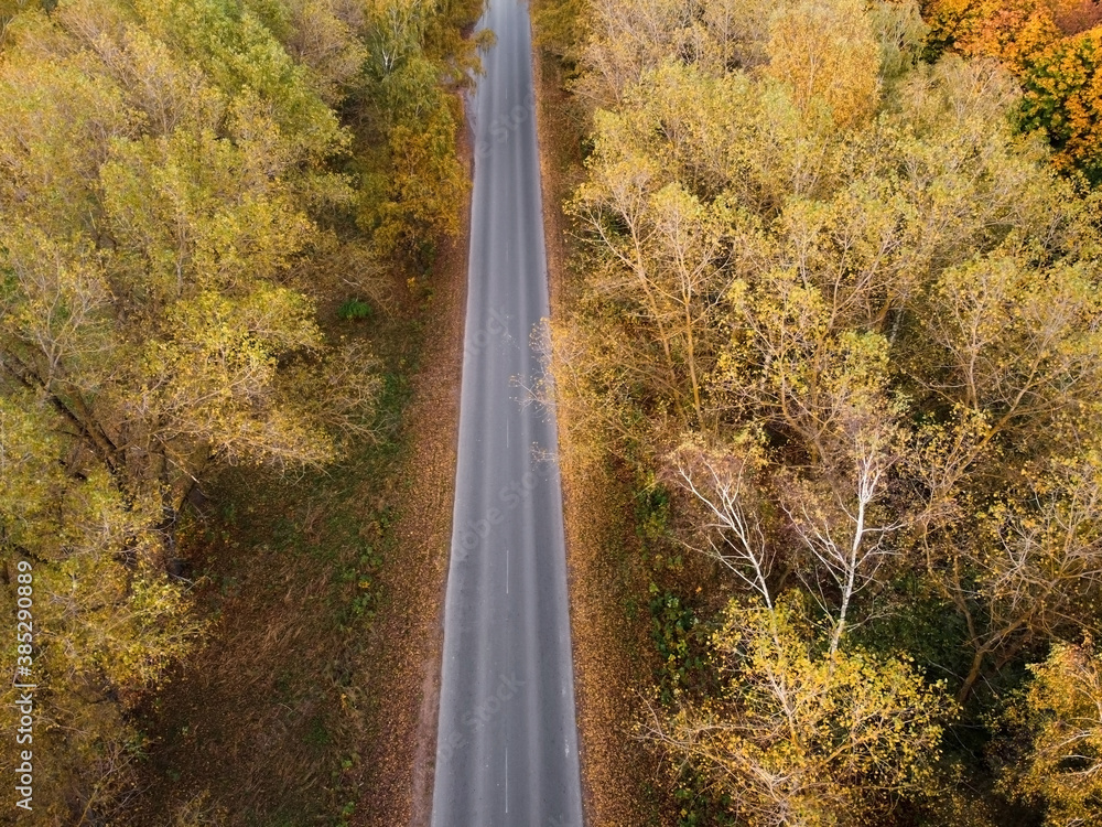 Naklejka premium Road in autumn forest, aerial view